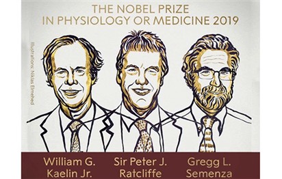 Read more about the article William Kaelin and Gregg Semenza of US, Britain’s Peter Ratcliffe win Nobel Medicine Prize