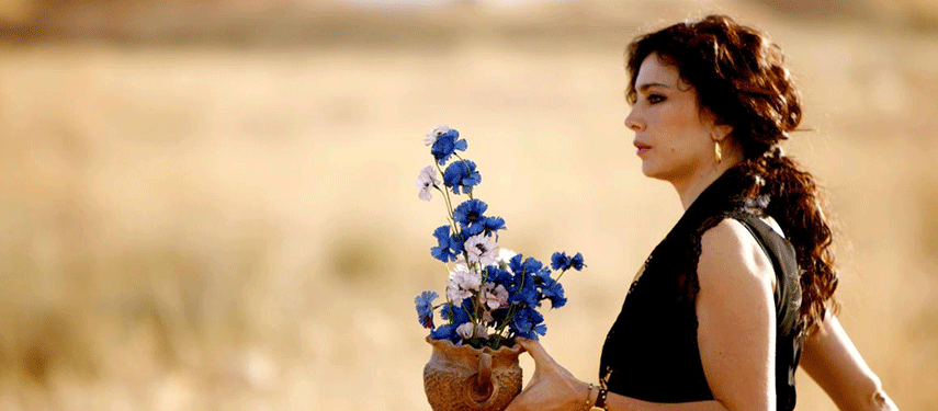 Read more about the article Cinema Akil to screen Lebanese films to raise funds for Beirut disaster relief