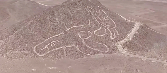 You are currently viewing صورة قطة عملاقة منحوتة على سفح جبل في بيرو.. عمرها أكثر من 2000 عام